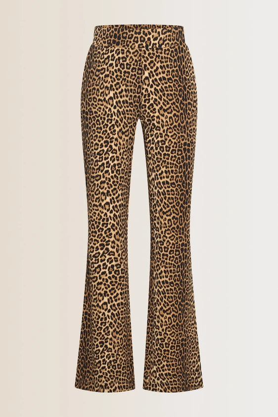 Broek