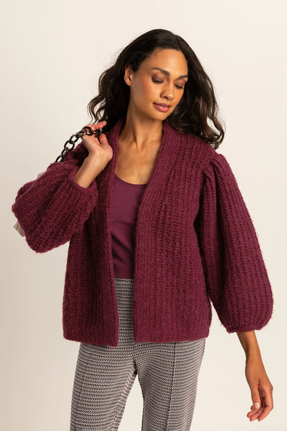 Vest met ballonmouwen